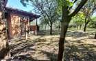 Casa individuala, 240 mp cu teren 1200mp, Dezmir, zona Planoare! - 14