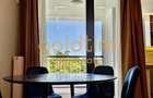 IANCU NICOLAE/ZOO/PARKING/PIPERA/LUXURY APARTAMENT/GREAT VIEW - 5