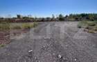 Teren intravilan 4.583 mp – Parc Industrial Sânandrei - 4