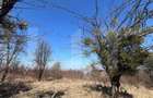 Teren intravilan de vanzare sat Gheorgheni - 1