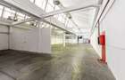 Hală Industrială Arad 517 mp - 1