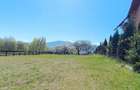 Teren intravilan cu priveliste frumoasa-Predelut - 8