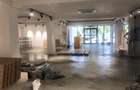 VITAN-ENEGETICIENILOR-PATISERIE PIZZERIE STRADAL,VAD INTENS,LUX,TRIFAZIC,250 MP, - 1