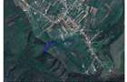 Teren intravilan, 9465 mp, Betfia, lângă pădure, de vânzare - 3