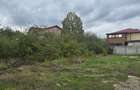 REL4001052 Teren de vanzare Domnesti - 2