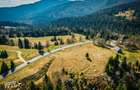 In notabil areal, teren extravilan pe 5.800 mp, Ojdula, Covasna - 28