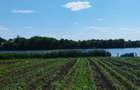 MEGA OCAZIE SE VINDE TEREN 10.600 DE METRI LA PRET DE 6.600 CU DESCHIDRE LA LAC - 7