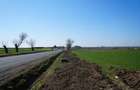 Teren 1 HECTAR cu deschidere mare la DJ682 – Zădăreni, Arad - 2