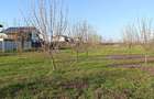 Teren parcelabil, intravilan, 6400mp cu casa renovata - ideal investitor  - 1