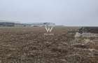 Teren industrial de vânzare , Sibiu– Zona Industrială Vest, 20.800 mp - 2