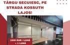 Spații de închiriat în Târgu Secuiesc, pe strada Kossuth Lajos! - 1