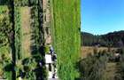 Teren 1594 mp intravilan - Suceava - Scheia! - 3