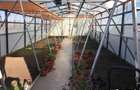 Casa de vacanta P+M,anexa de exploatatatie agricola - 10