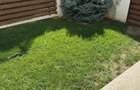 Apartament 2 camere Darwin Residence - 9
