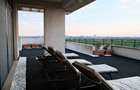 INCHIRIERE PENTHOUSE LUX ALEEA PRIVIGHETORILOR  - 12