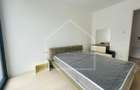 PRIMA INCHIRIERE | Penthouse  4 camere | Herastrau | 150mp | Luxury - 4