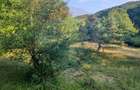 Poiană pentru cabana de vanzare intravilan Coas - 11