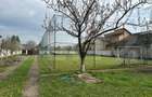 Investitie: Casa cu teren constructii si pastravarie - Prejmer, Brasov - 10