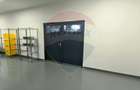 2 Hale industriale noi | 539 mp fiecare |  Moara Vlasiei - 10