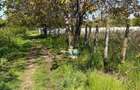 TEREN INTRAVILAN-1500 mp -deschidere 30 m- Astrelor- regim de inaltime P+2 - 3