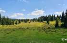 Teren intravilan 10.814 mp cu PUZ aprobat – Beliș - 2