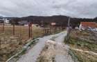 Teren intravilan in Sovata (str. Turturelelor) - 6