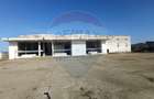 Spațiu industrial de 5,000mp de vânzare TULCEA 24.000MP intravilan - 6