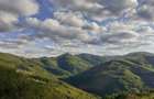 Cabana de vanzare, 8000 mp teren intravilan. Plopi - 1