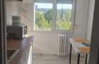 Apartament 2 camere-reabilitat termic-1 minut metrou 1 Decembrie - 4