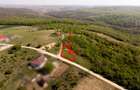 RECO Teren intravilan, dublu front, Saldabagiu de Munte - 5