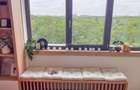 Apartament cu vedere panoramică la Parcul Tineretului - 8