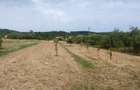 Cavanzare Copacele cu teren 1530 m și o livada - 2