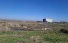 Doua parcele de teren intravilan 5562 mp pentru hala producție, atelier, depozit - 5