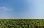 O locuință luminoasă într-un cadru verde și modern - Comision 0% - 16