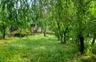 Casa de vanzare sat Manastioara, com. Fitionesti, jud. Vrancea,  - 4