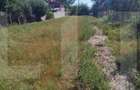Teren intravilan 2.800 mp | Front 13 m | Acces dublu | Aproape de Slatina - 2
