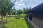 Snagov- Gruiu- Santul Floresti -Proprietate cu stil pentru oameni gospodari! - 46