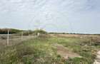 Teren Intravilan 1300 mp / Extravilan 3.700 mp/ DJ 196B Carei (DN 1F) – Foieni - 3