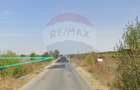 Teren intravilan 19,3 ha/locatie strategica, acces linie CFR/Gulia - 6