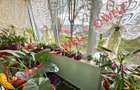 De vânzare apartament cu 3 camere în Sfântu Gheorghe, pe Aleea. Hărniciei - 2