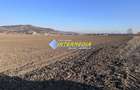 Teren intravilan de vanzare in Sard suprafete 600-800 mp - 5