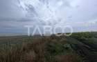 Teren de vanzare extravilan 30000 mp 60 ml deschidere Sura Mare Sibiu - 3