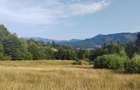 teren Colibita - 2 hectare - acces direct din drumul 173 D - 4