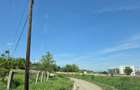 Teren cu livada perfect pentru CASA - 1.200 MP Sat Varlaam, Giurgiu - 7