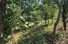 Casă nouă 3 camere cu teren de 1.370 mp la 5 min de Vălenii de Munte - 14