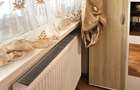 Apartament 2 camere,parter+balcon mare+boxa in proprietate,zona Scoala nr.8 P.Nt - 10