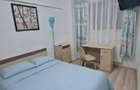 Apartament cu 1 camera - zona Tatarasi - Piata Chirila - Pet Friendly - 1