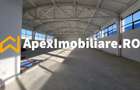 Hala Industriala Xenia – 1800 mp, Acces TIR, Parcare 50 Auto - 24