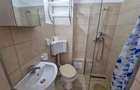 Apartament cu 1 camera de inchiriat zona Sp de Ortopedie - 9