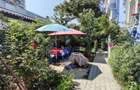 Vila Central - Imparatul Traian - 22